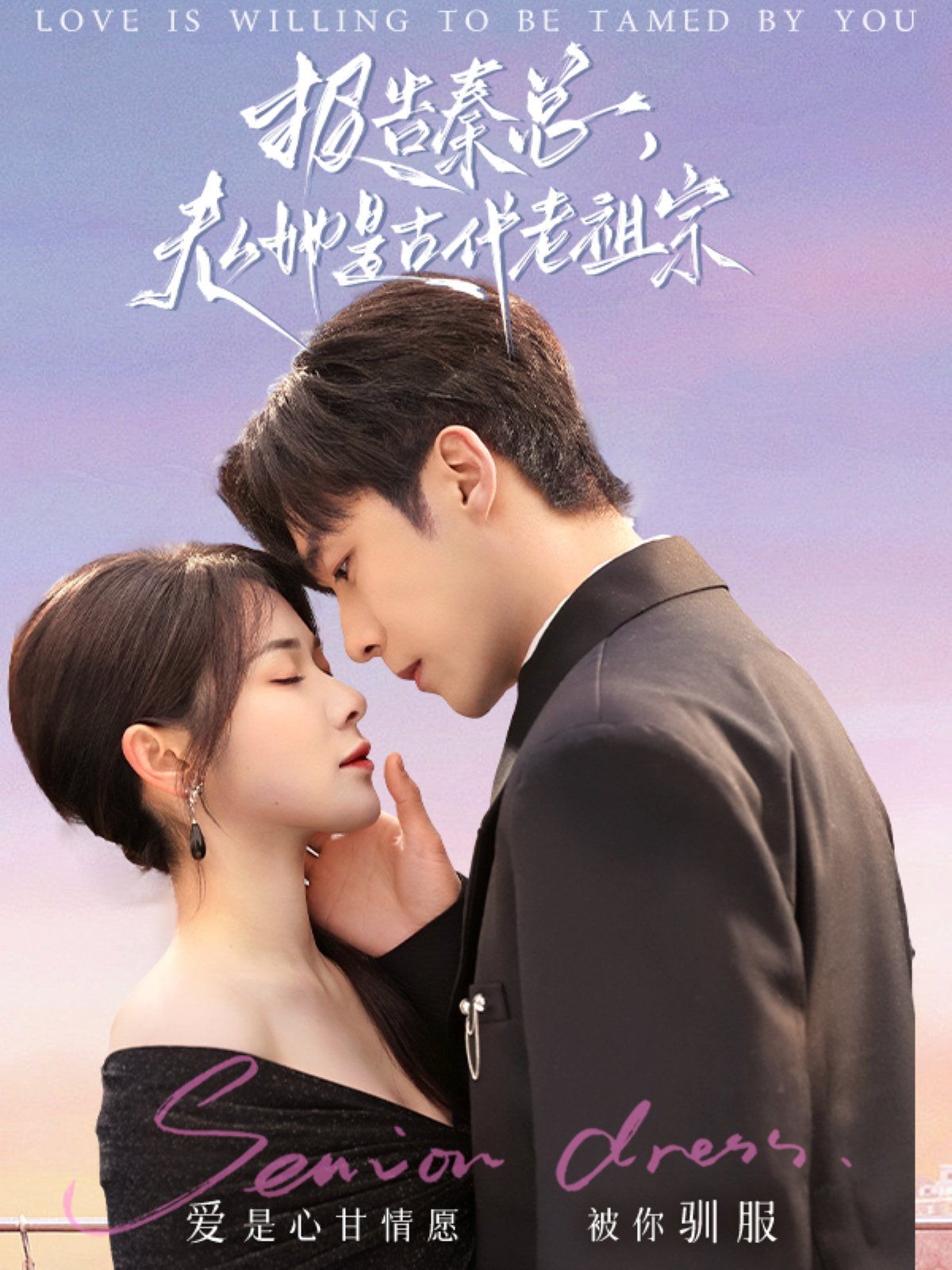 报告秦总，夫人她是古代老祖宗 第1-20集