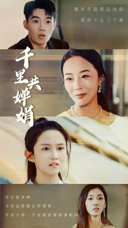 千里共婵娟 全集(大结局)