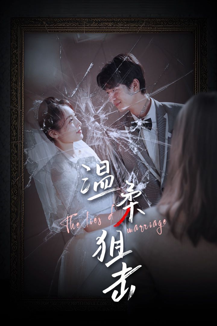 温柔狙击（婚姻迷雾）（婚姻的谎言） 第41-60集