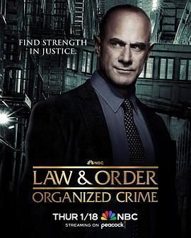 法律与秩序：组织犯罪 第四季 第4集