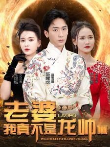 老婆我真不是龙帅啊 全集 (上)(大结局)