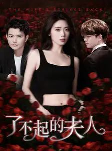 了不起的夫人 第1-20集