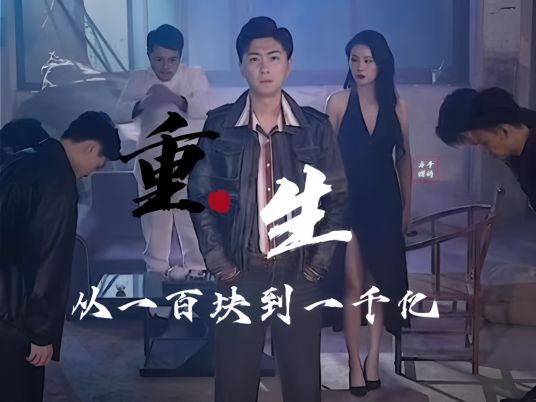重生后从一百块到一千亿(全集)