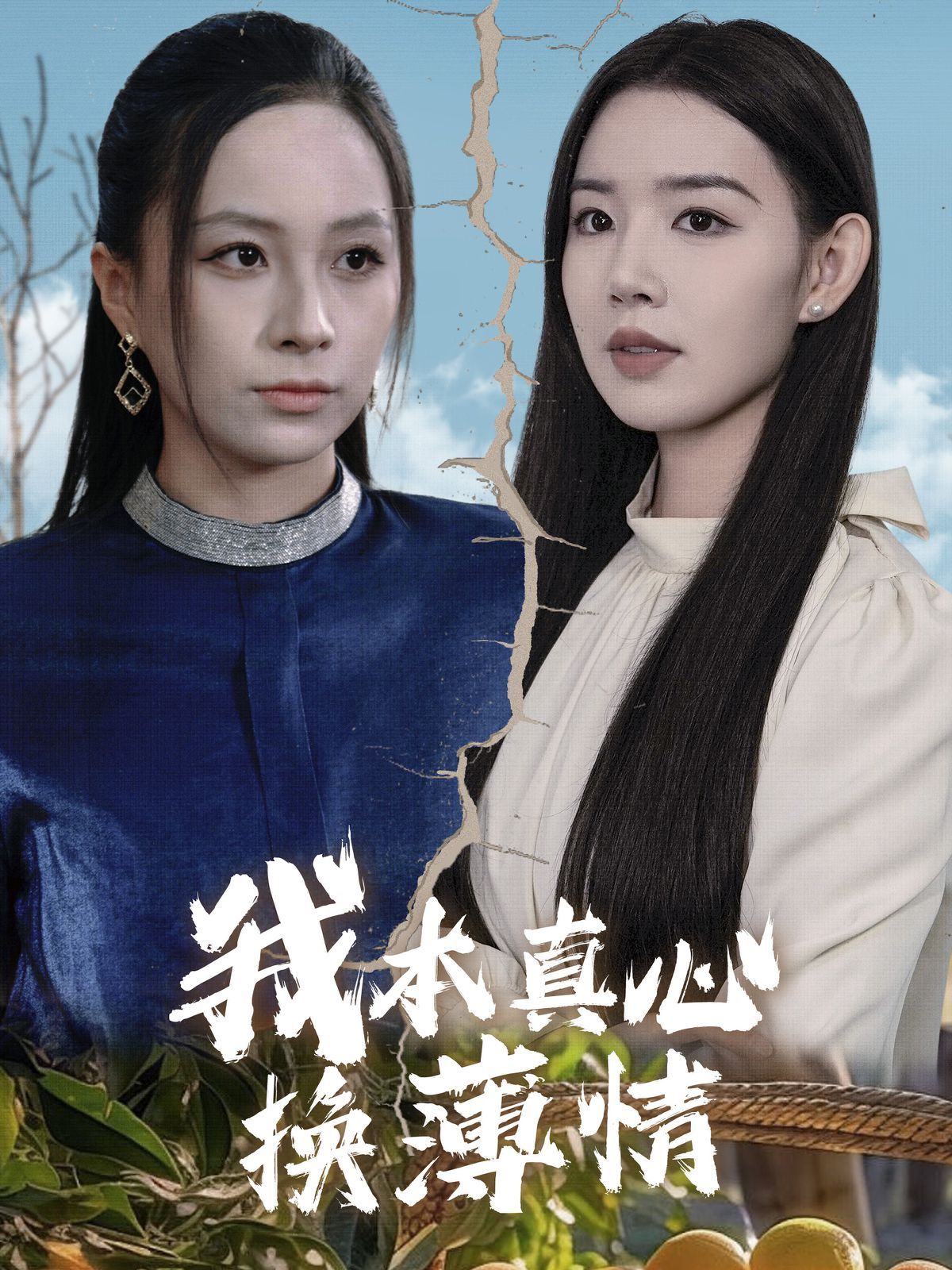 我本真心换薄情 第1-20集