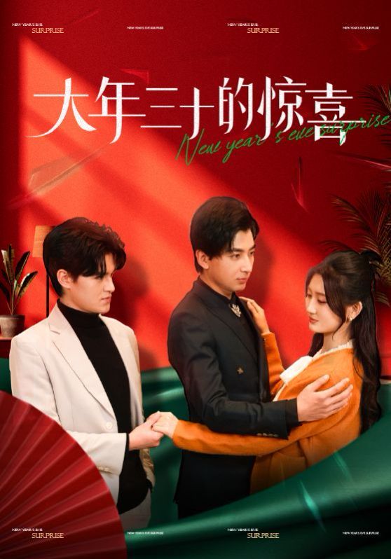 大年三十的惊喜 第1-20集