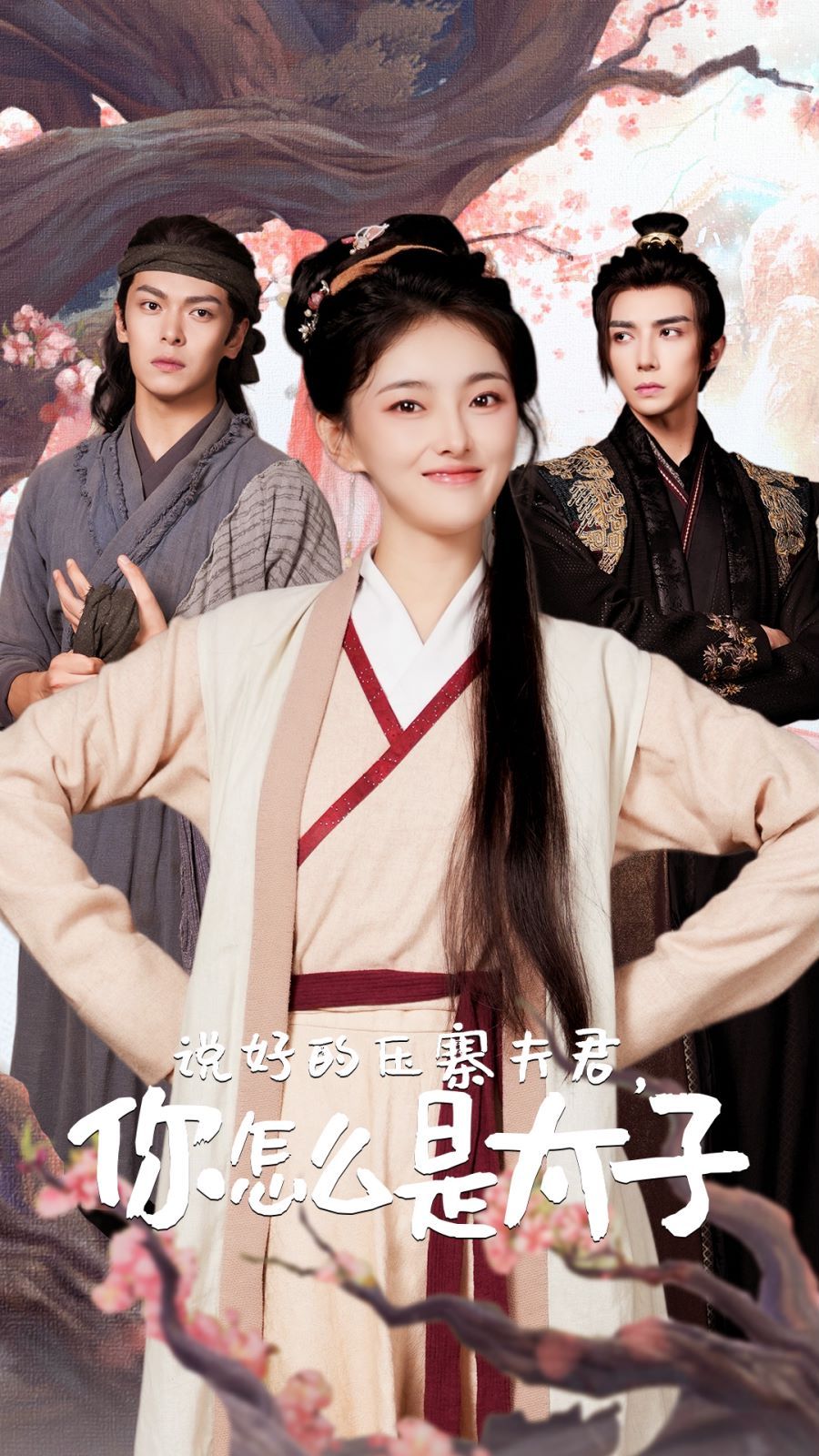 说好的压寨夫君，你怎么是太子 第41-65集完结(大结局)