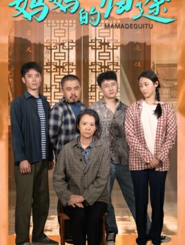 妈妈的归途（归来之金凤成龙） 第1-20集