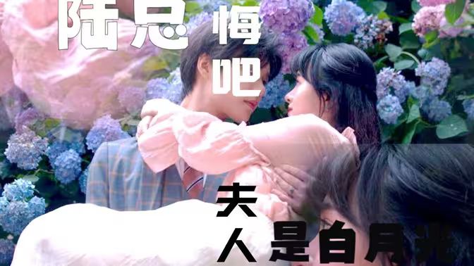 陆总忏悔吧，夫人才是白月光 全集完结(大结局)