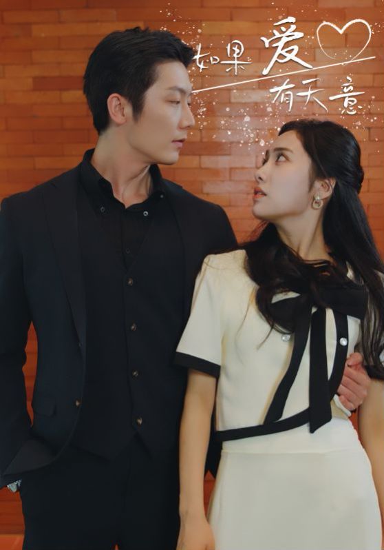 新如果爱有天意 第41-60集