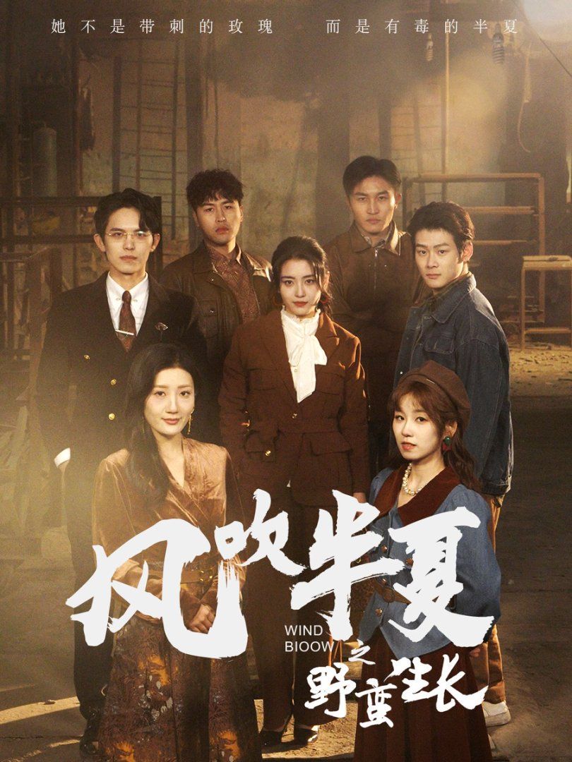 风吹半夏之野蛮生长 第41-59集完结(大结局)
