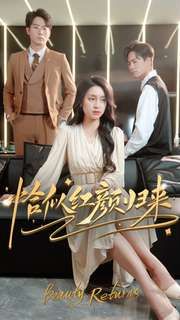 恰似红颜归来 第21-40集