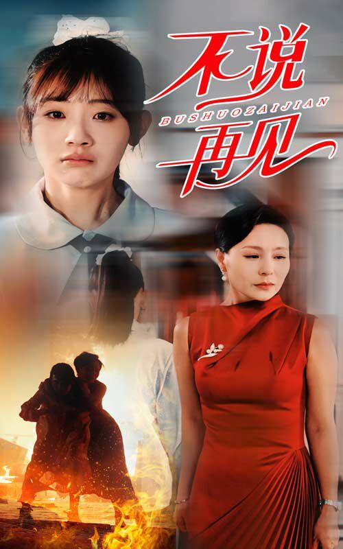 不说再见 全集完结