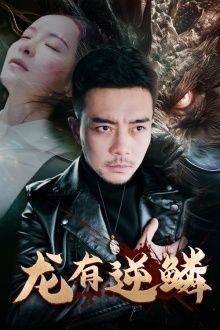 龙有逆鳞 第41-60集