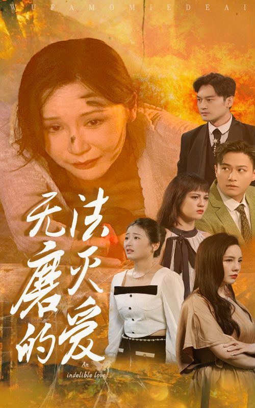 无法磨灭的爱 第41-60集