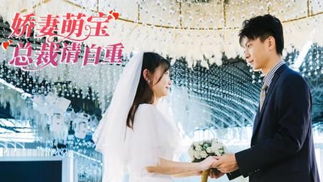 娇妻萌宝总裁请自重 全集完结(大结局)