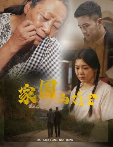 家国两难全（自古忠孝两难全） 第1-20集