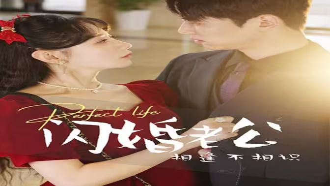 闪婚老公相逢不相识 第61-80集