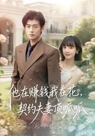 他在赚钱我在花，契约夫妻顶呱呱(全集)