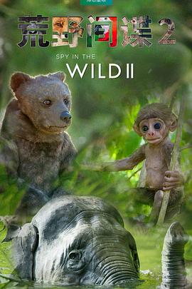 荒野间谍第二季 第01集