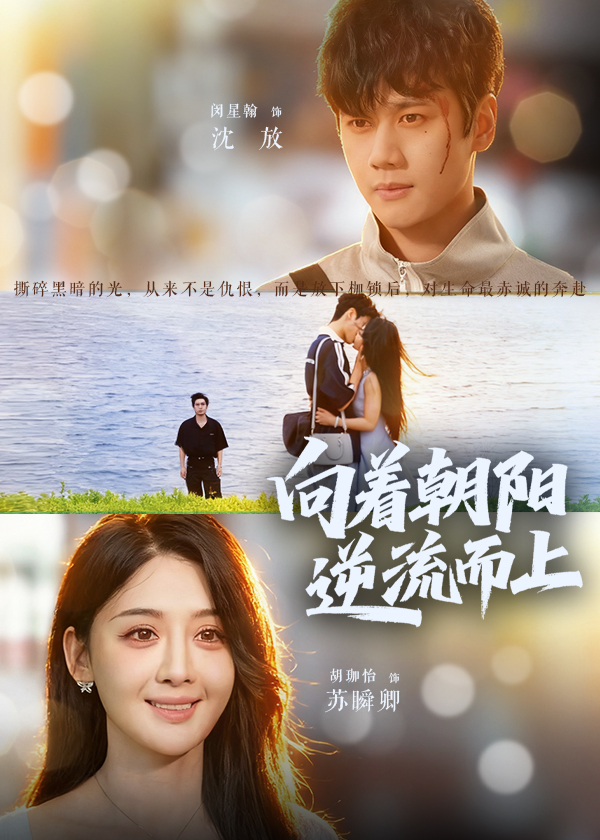 向着朝阳逆流而上(全集)