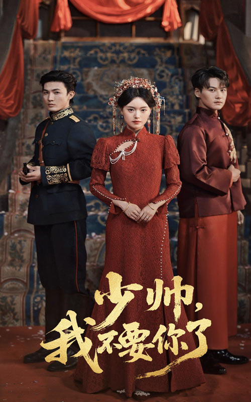 少帅我不要你了(全集)