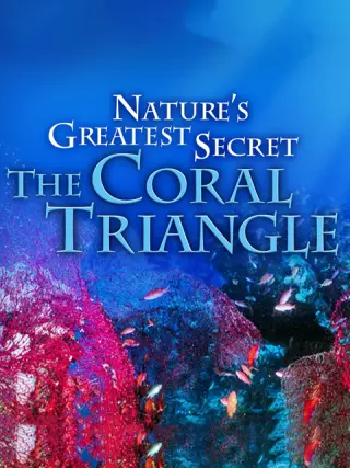 大自然最大的秘密：珊瑚三角区 第01集